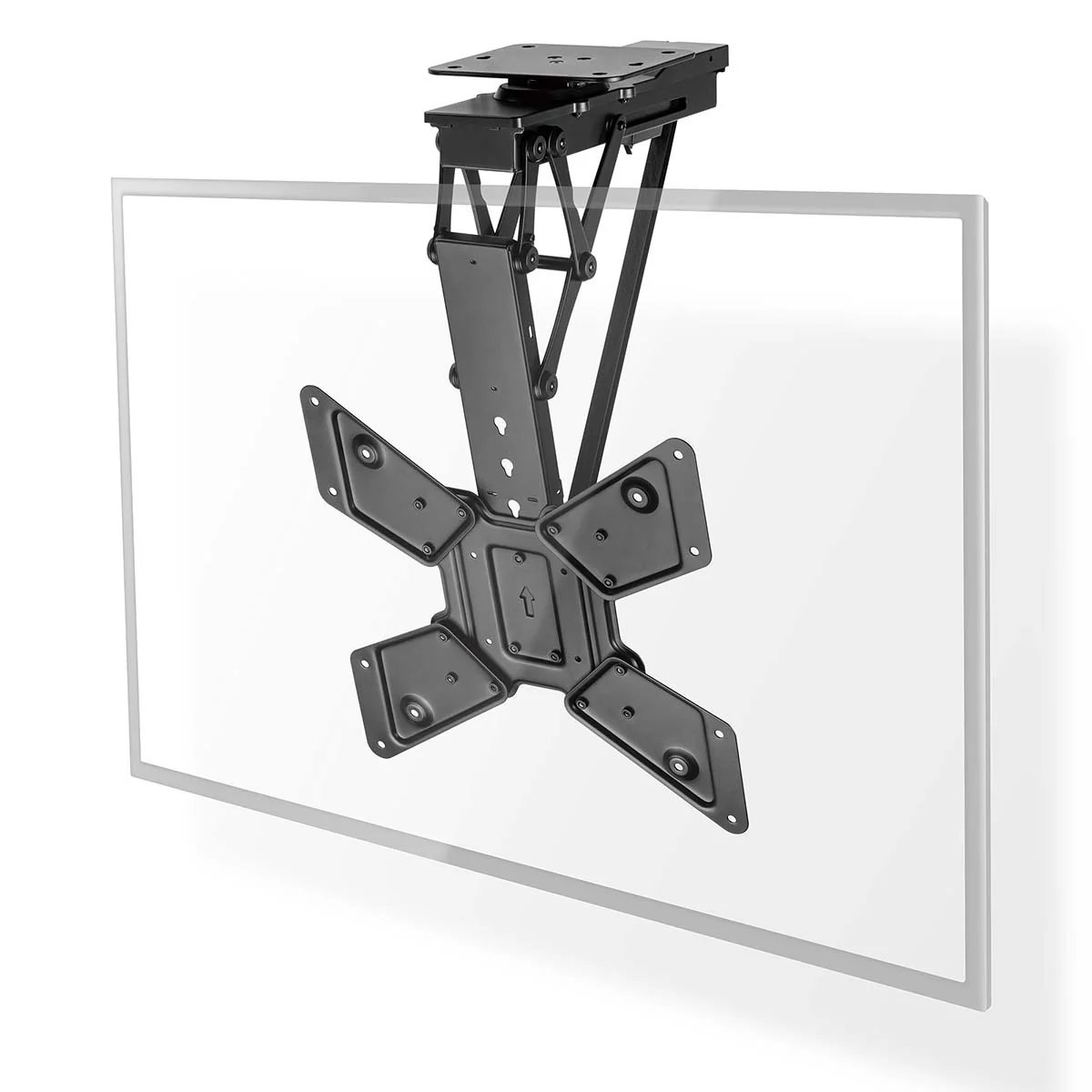 Miniatuur 5