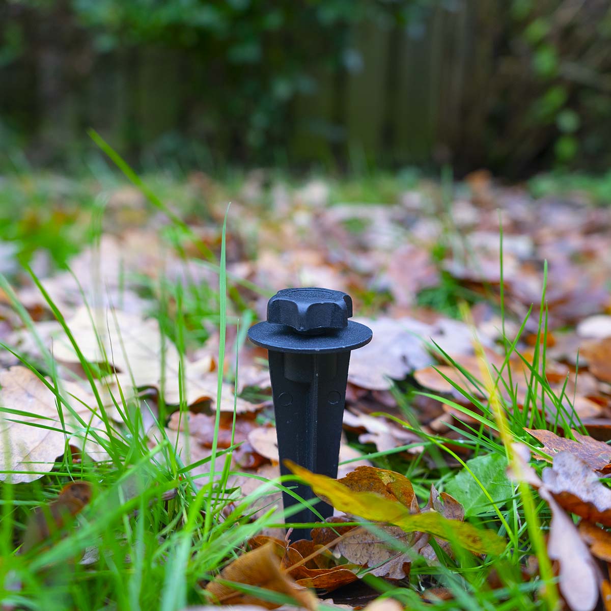 Miniatuur 4