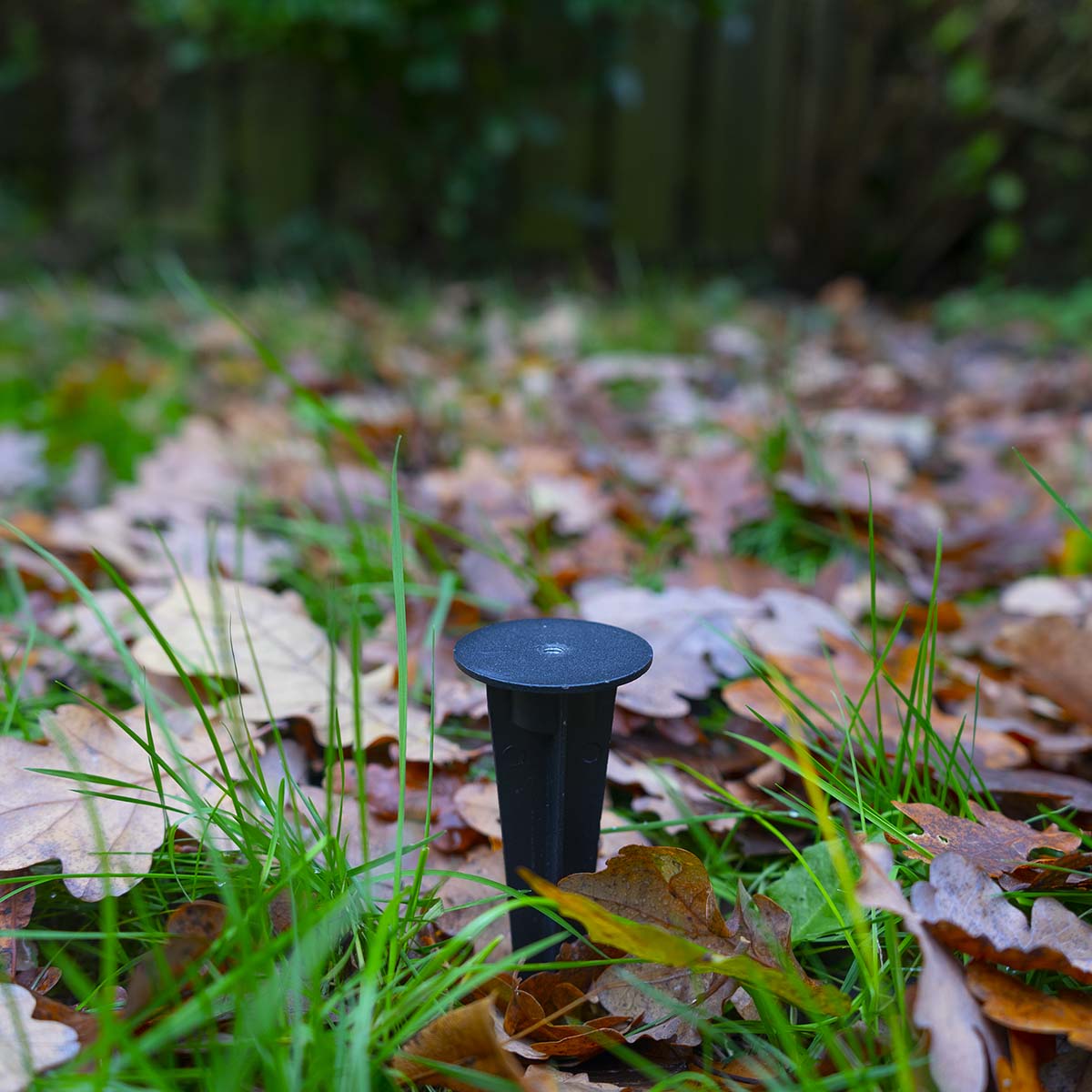 Miniatuur 5