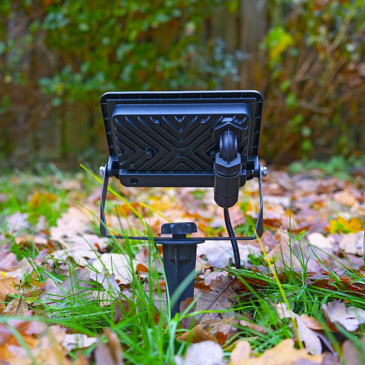 Miniatuur 6