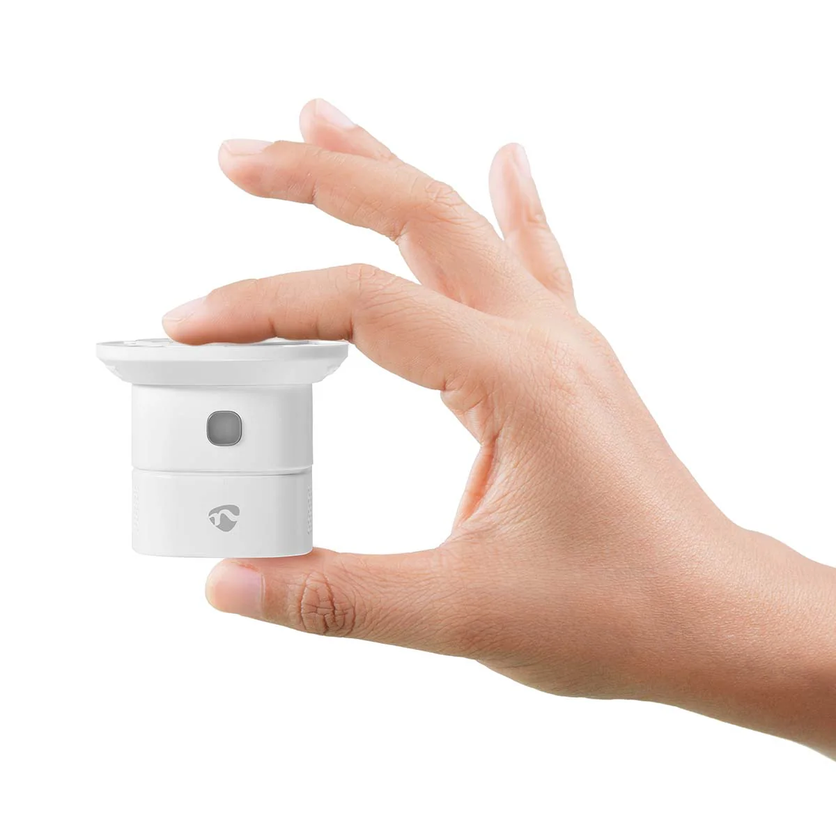 Miniatuur 8