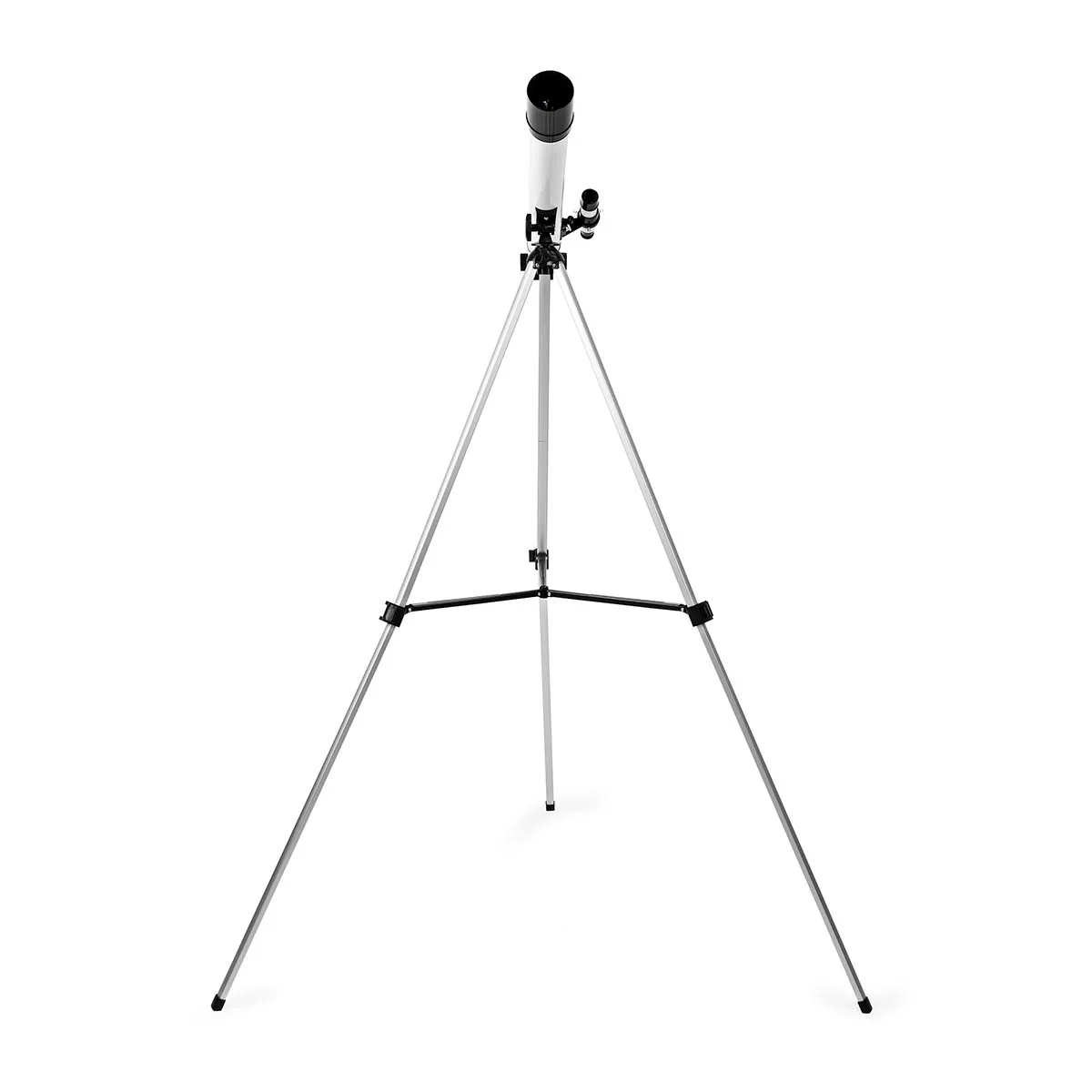 Miniatuur 2